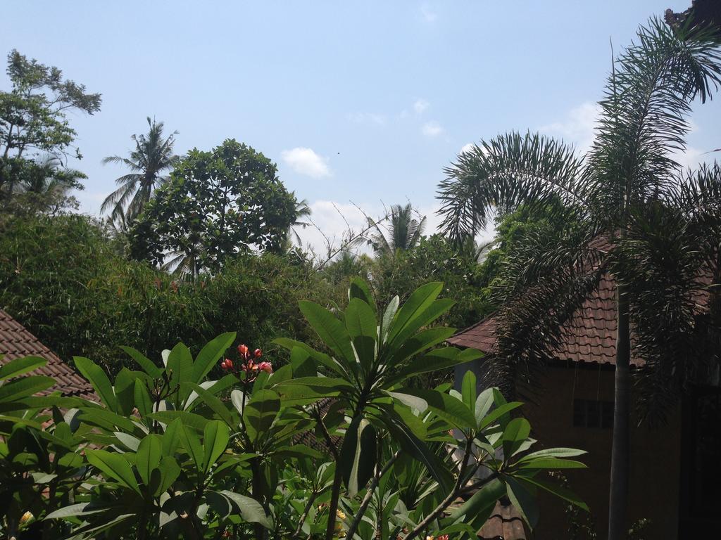 Ubud Rooms B&B Habitación foto